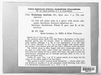 Image Associated With the Occurence